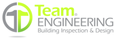 Team Eng logo (old) color